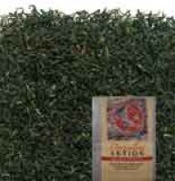 Darjeeling first flush FTGFOP1 500g-Pack