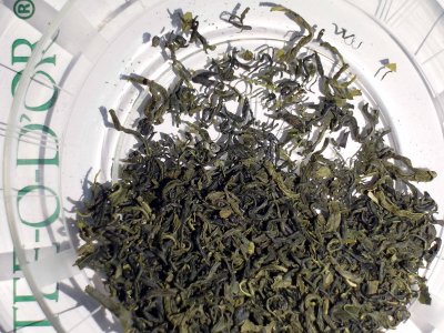 KOREA GREEN Der vergessene Garten