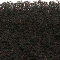 EARL GREY OP tein-frei