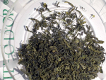 KOREA GREEN Der vergessene Garten